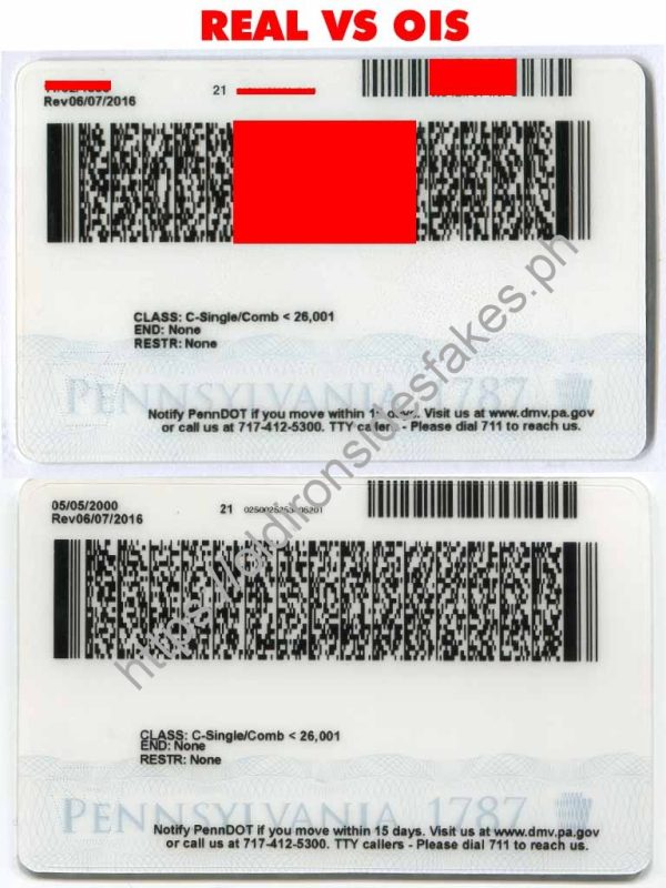 Pennsylvania Driver License(New PA U21) - Image 4
