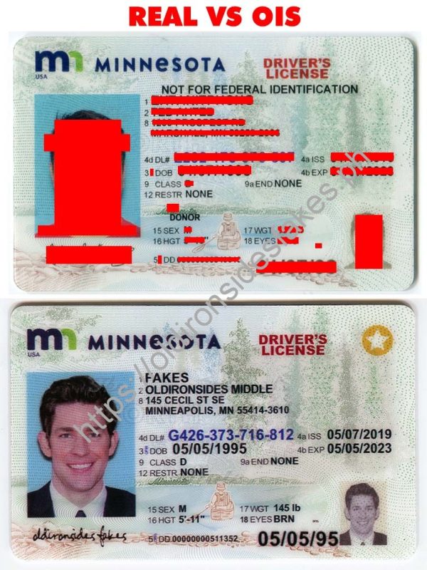 Minnesota Driver License (New MN)