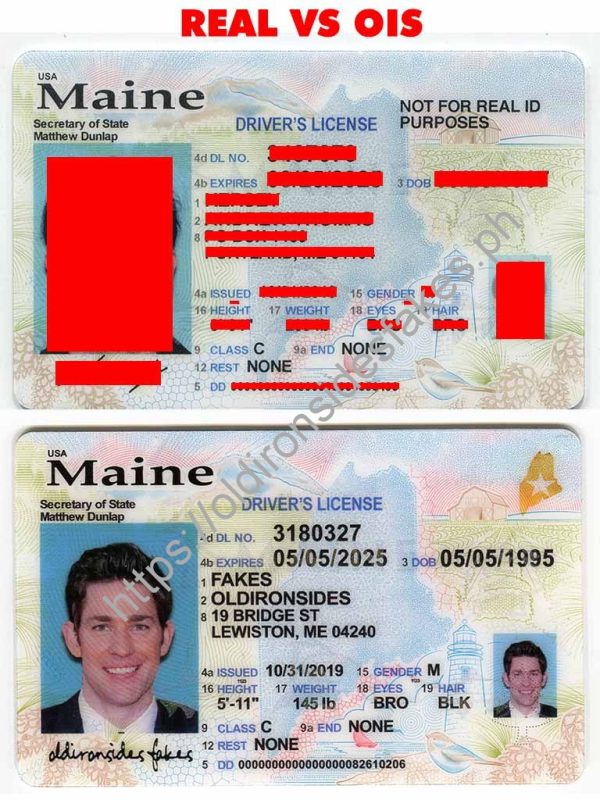 Maine Driver License (New ME)