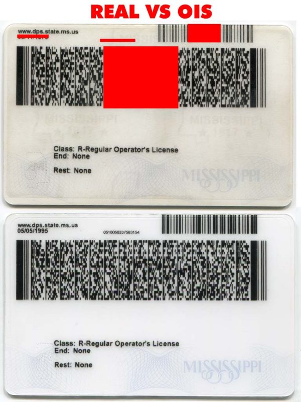 Mississippi Driver License (MS O21) - Image 4
