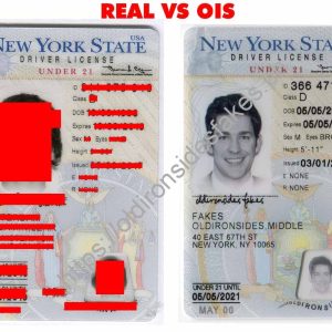 New York Driver License(NY U21)