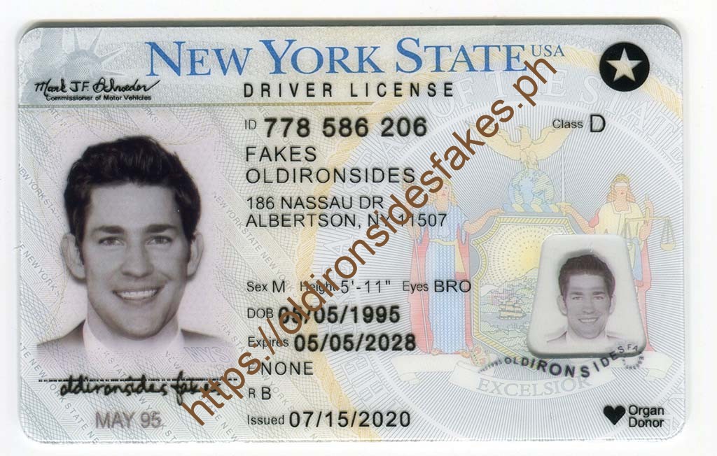 New York Driver License