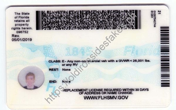 Florida Driver License(New FL O21 V2) - Image 2