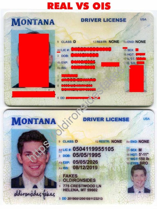 Montana Driver License (MT)