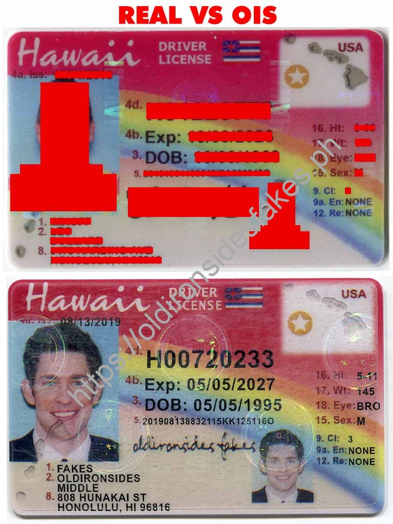 Hawaii Driver License