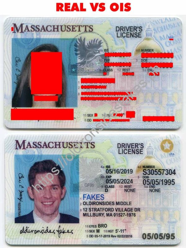 Massachusetts Driver License (New MA O21)