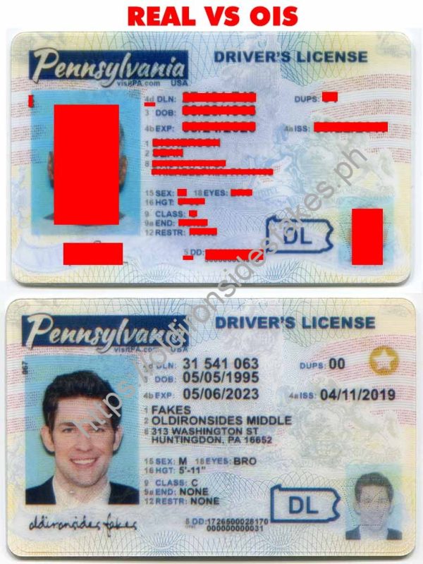 Pennsylvania Driver License(New PA O21)