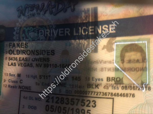 Nevada Driver License (NV) - Image 4