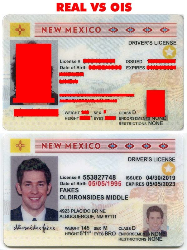 New Mexico Driver License (NM)
