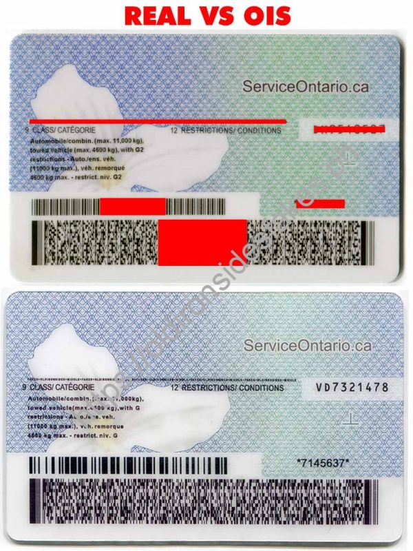 CAN Ontario(CAN ON) - Image 4