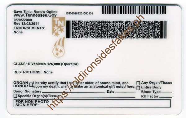 Tennessee Driver License(TN U21) - Image 2