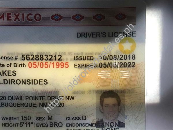 New Mexico Driver License (NM) - Image 3