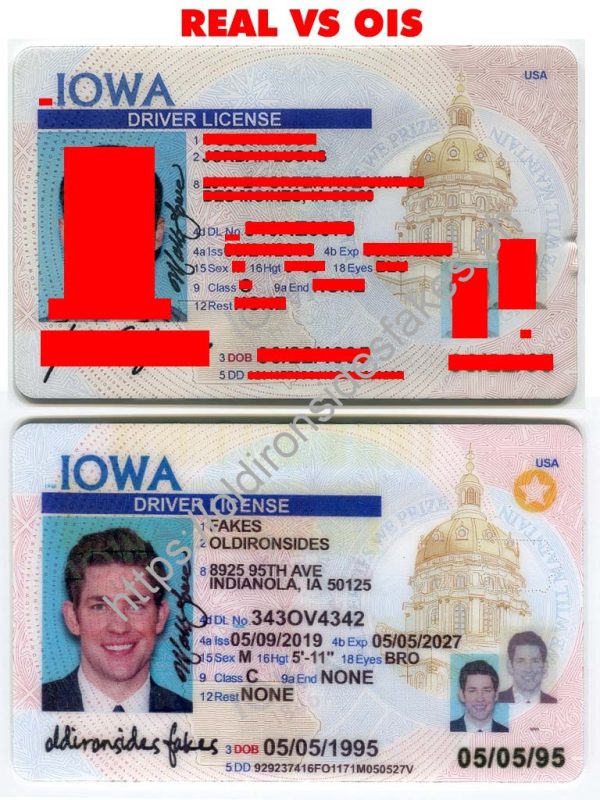 Iowa Driver License